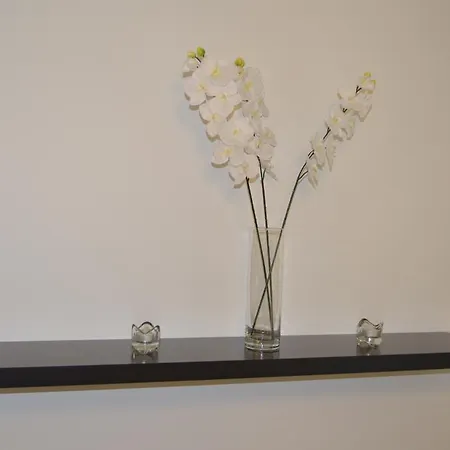 Vesijarvenkatu Apartament Lahti